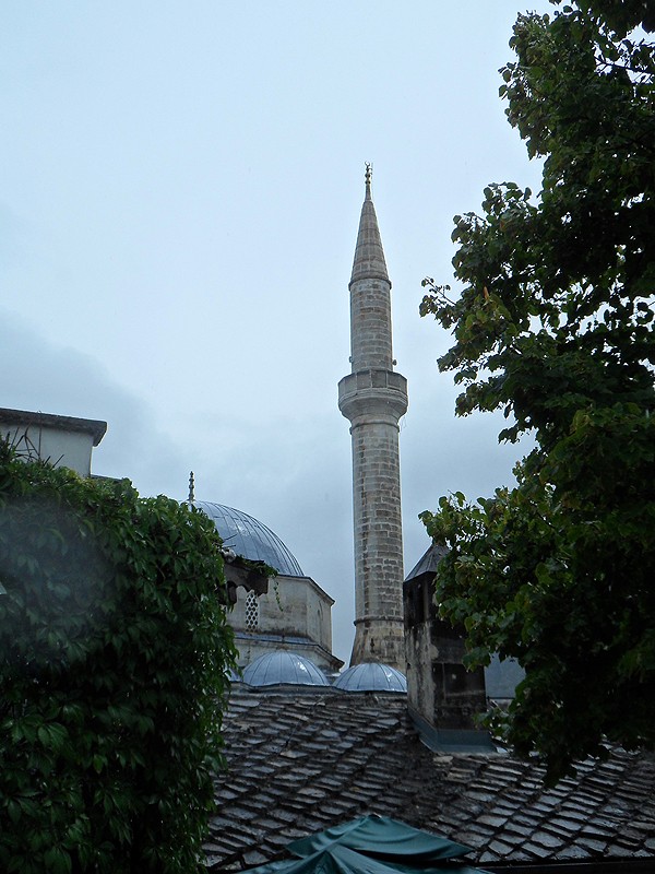 NEXT IMAGE