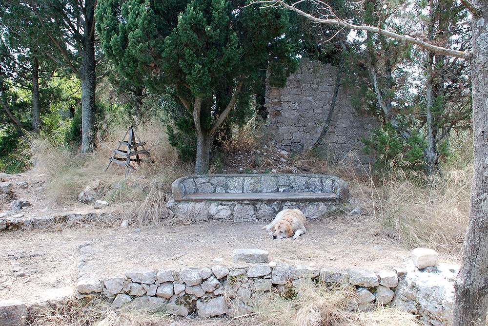 NEXT IMAGE