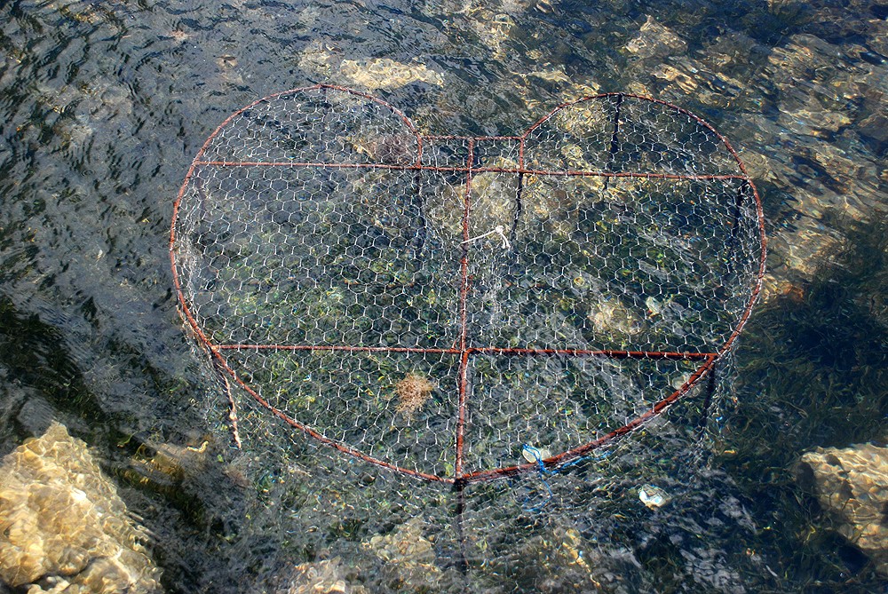NEXT IMAGE