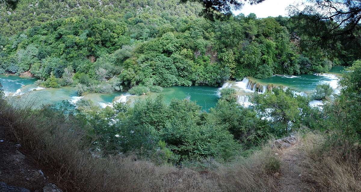 NEXT IMAGE