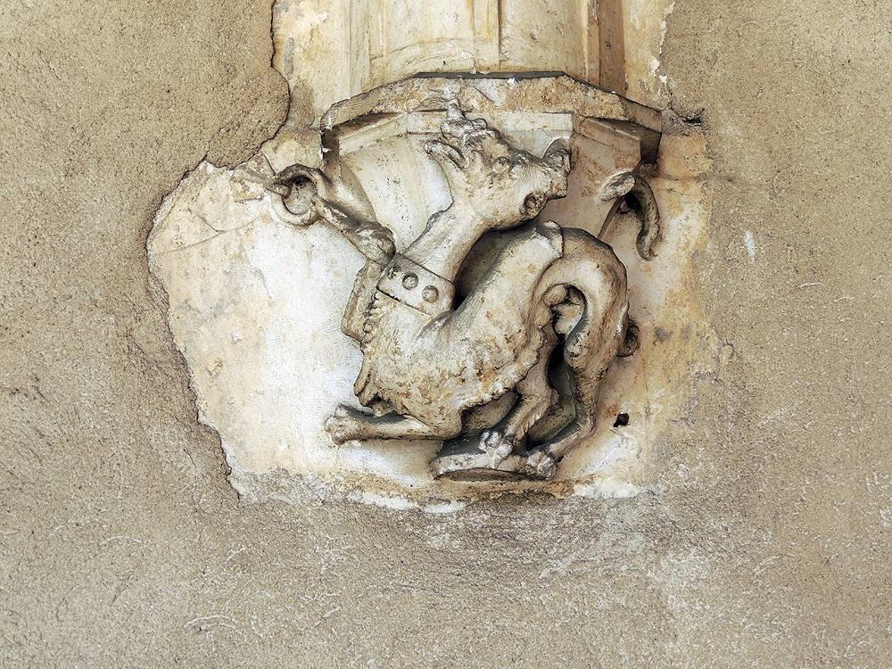 NEXT IMAGE