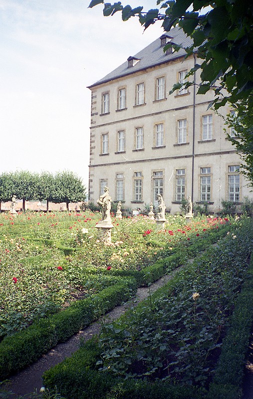 FIRST IMAGE