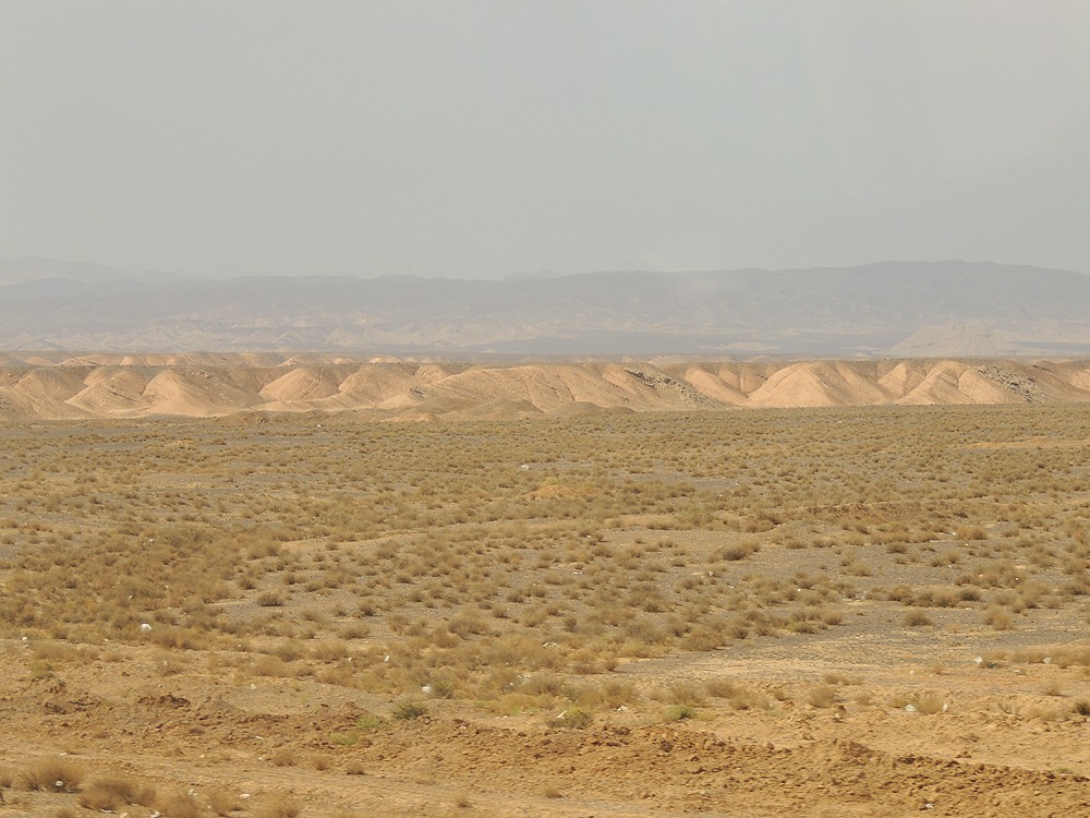 NEXT IMAGE