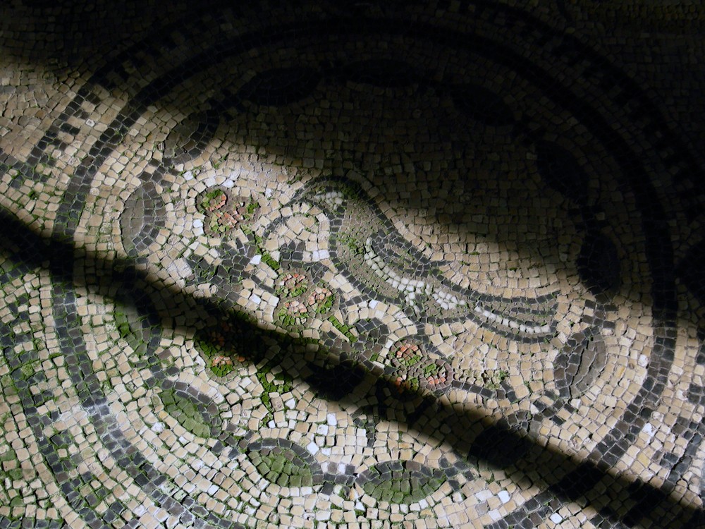 NEXT IMAGE