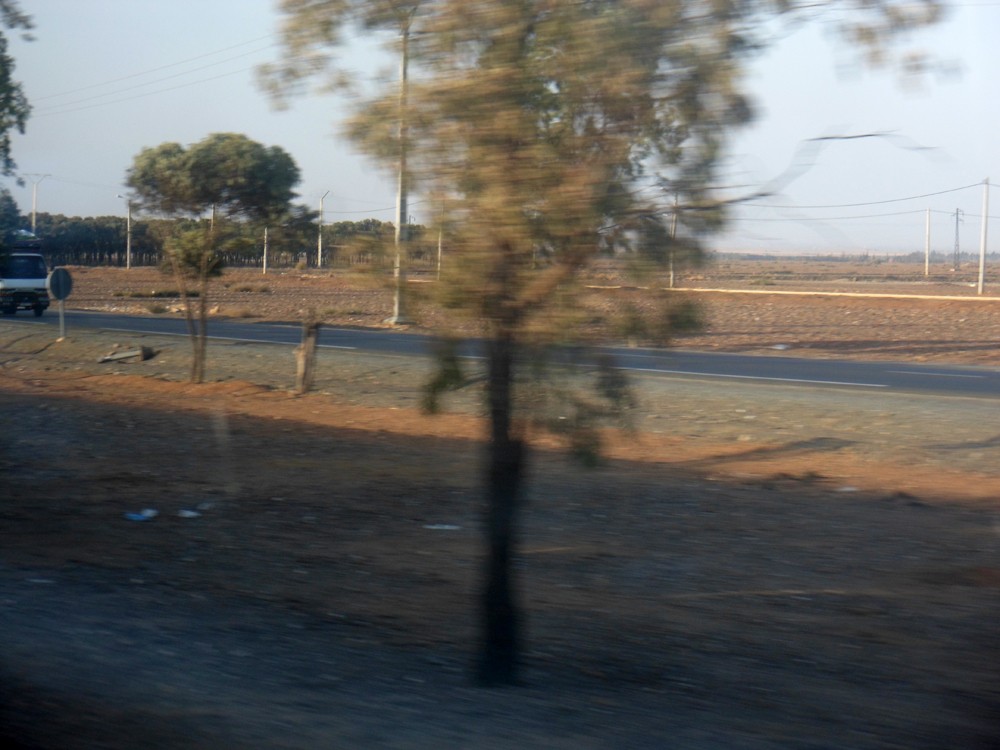 NEXT IMAGE