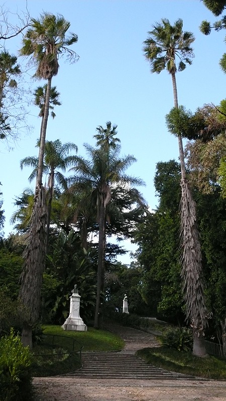 NEXT IMAGE