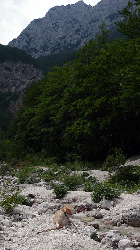 NEXT IMAGE