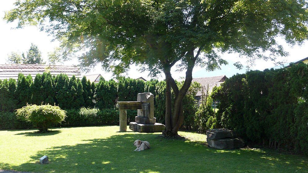 NEXT IMAGE